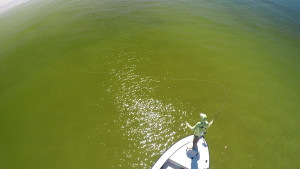 Beach Snook Fly Fishing With Capt. Russ Shirley